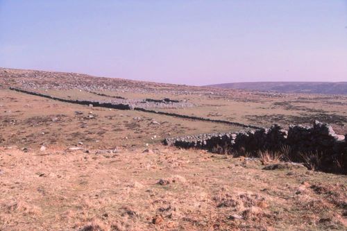 An image from the Dartmoor Trust Archive