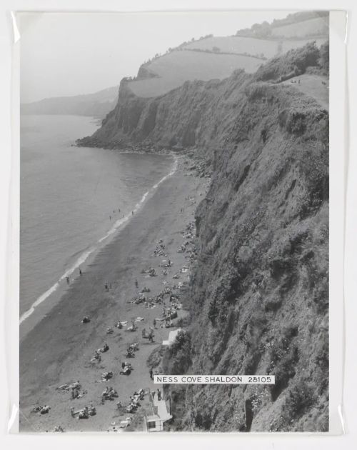 Ness Cove at Shaldon