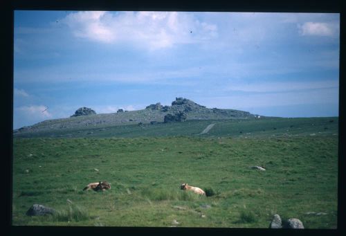 An image from the Dartmoor Trust Archive