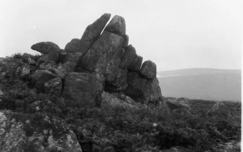 An image from the Dartmoor Trust Archive