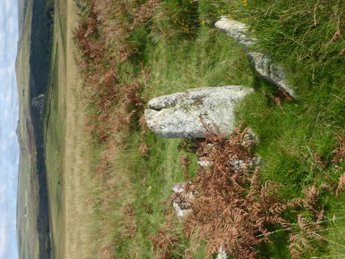 An image from the Dartmoor Trust Archive