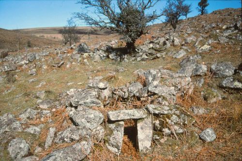 An image from the Dartmoor Trust Archive