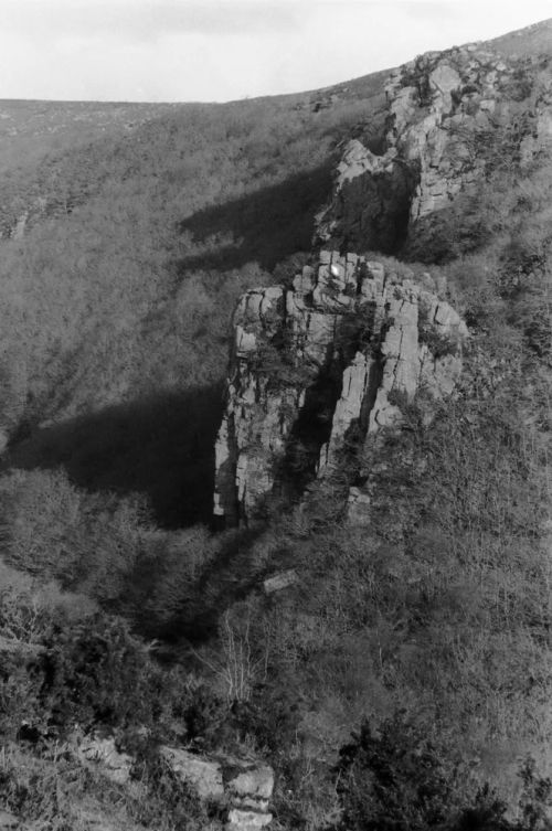 An image from the Dartmoor Trust Archive