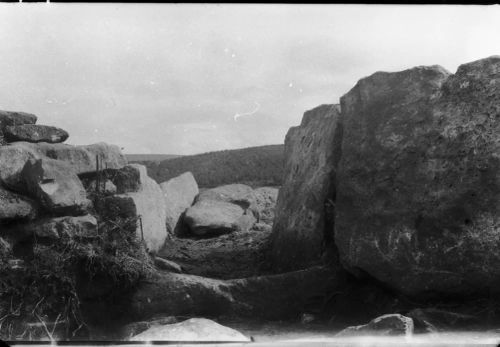 An image from the Dartmoor Trust Archive