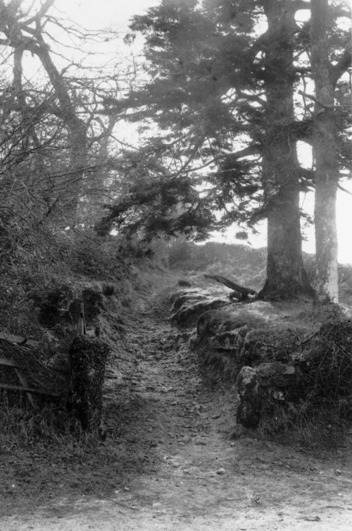 An image from the Dartmoor Trust Archive