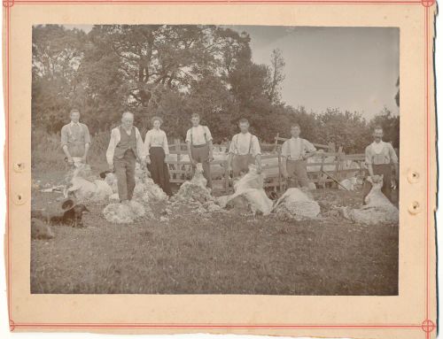 An image from the Dartmoor Trust Archive