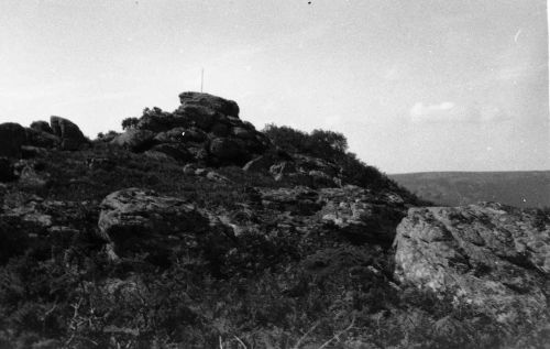 An image from the Dartmoor Trust Archive