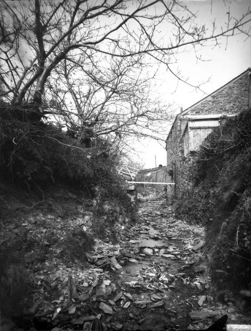 An image from the Dartmoor Trust Archive