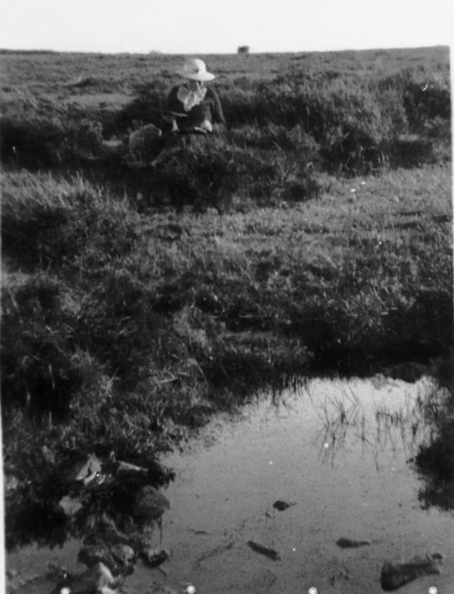 An image from the Dartmoor Trust Archive