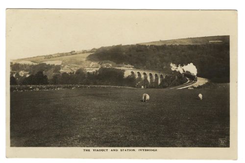 Viaduct and station, Ivybridge