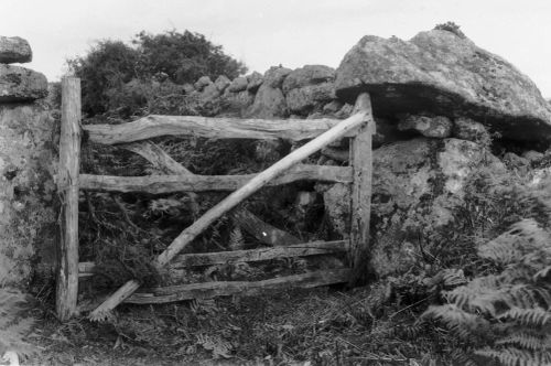 An image from the Dartmoor Trust Archive