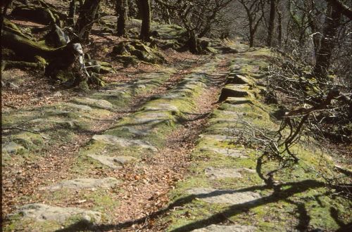 An image from the Dartmoor Trust Archive