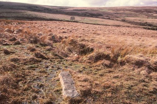 An image from the Dartmoor Trust Archive