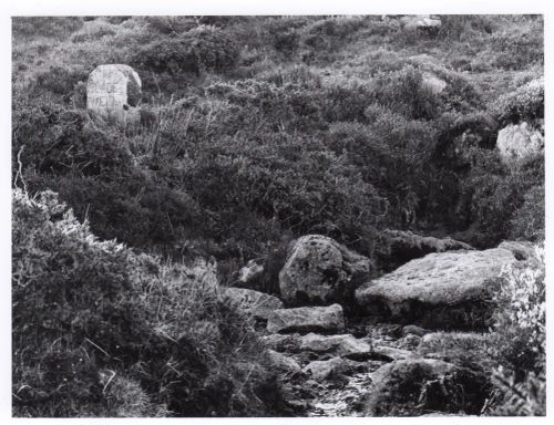 An image from the Dartmoor Trust Archive