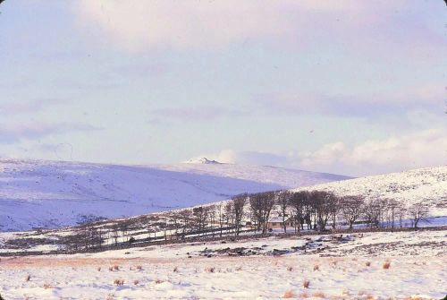 An image from the Dartmoor Trust Archive