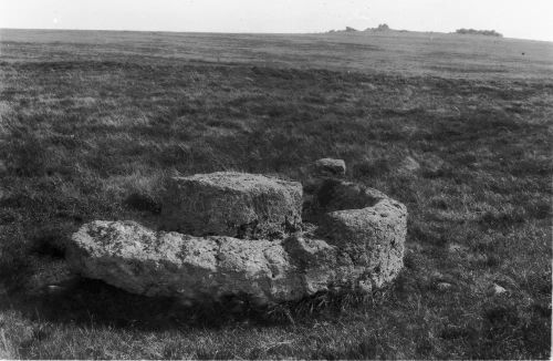 An image from the Dartmoor Trust Archive