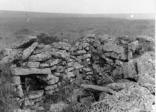 An image from the Dartmoor Trust Archive