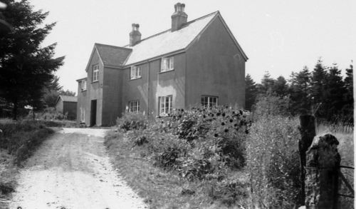 An image from the Dartmoor Trust Archive