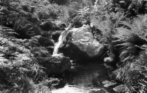 An image from the Dartmoor Trust Archive