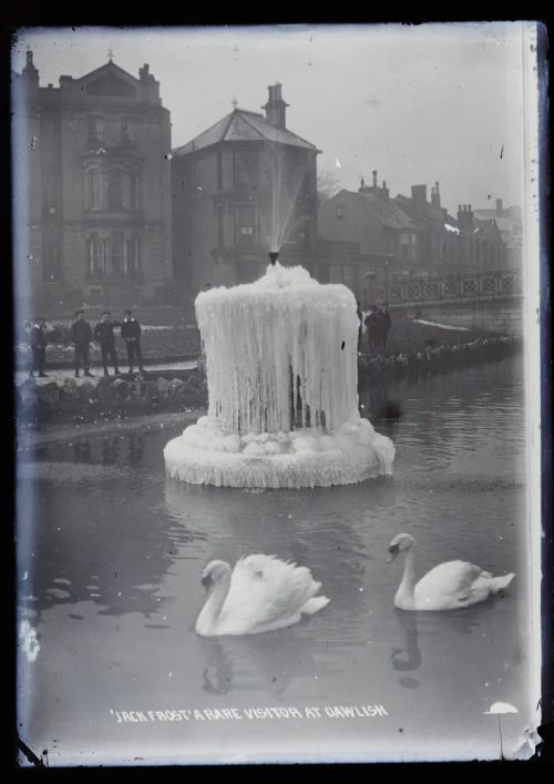 Swans and fountain, Dawlish