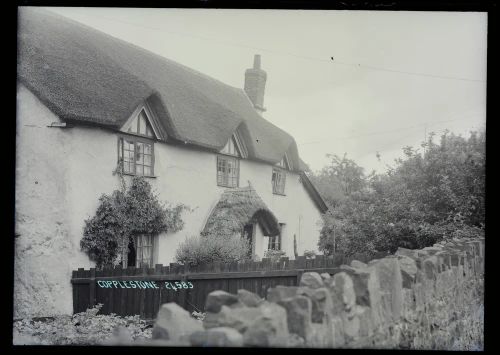 Thatched cottage, Copplestone