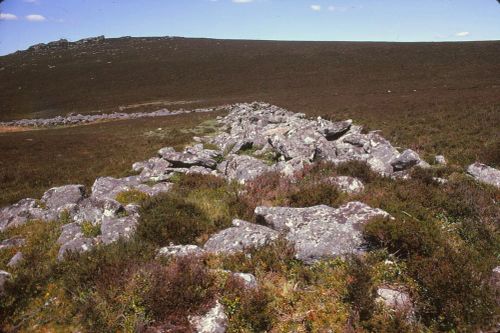 An image from the Dartmoor Trust Archive