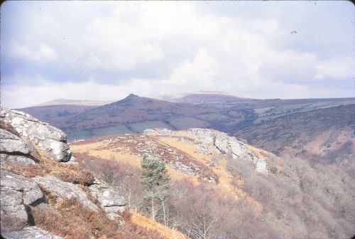 Bench Tor & Sharp Tor