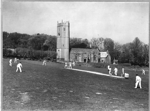 Playing Cricket at Manaton