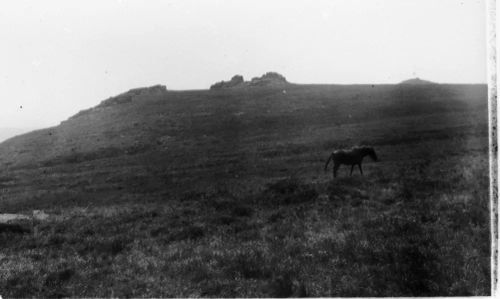 An image from the Dartmoor Trust Archive