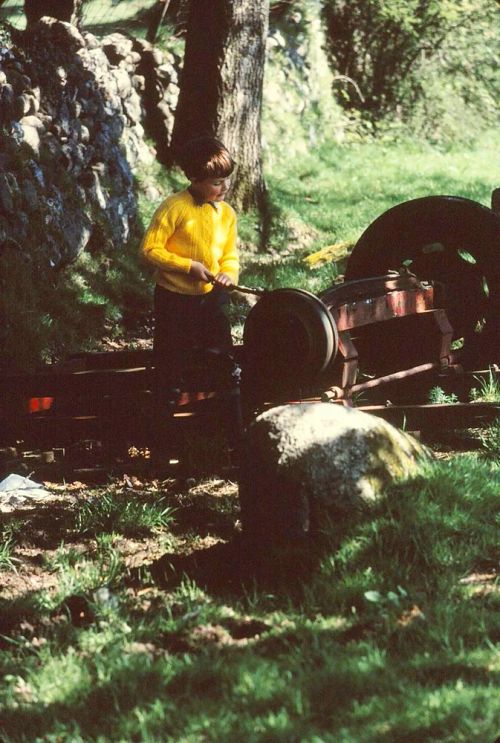 An image from the Dartmoor Trust Archive