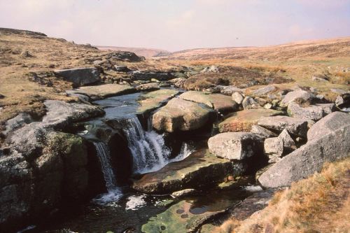 An image from the Dartmoor Trust Archive