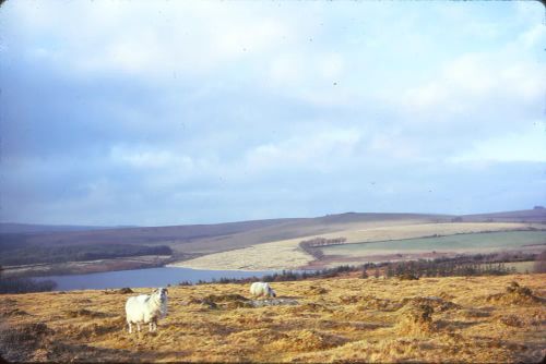 Fernworthy Reservoir