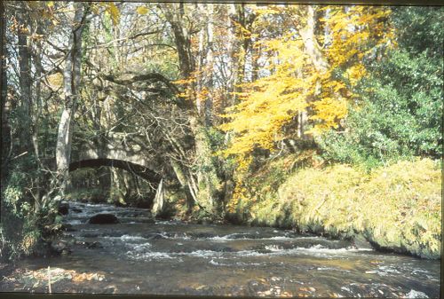 Bridge at Spitchwick