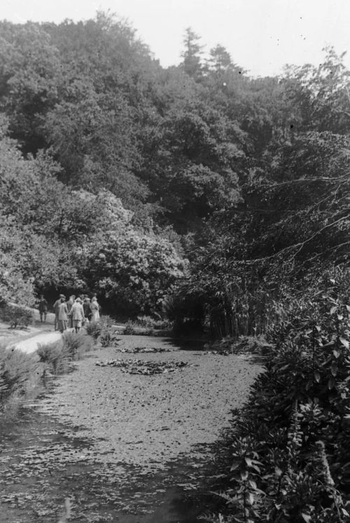 An image from the Dartmoor Trust Archive