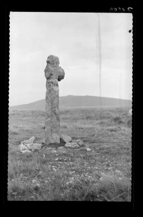 Spurrell's cross