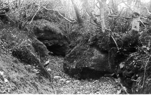 An image from the Dartmoor Trust Archive