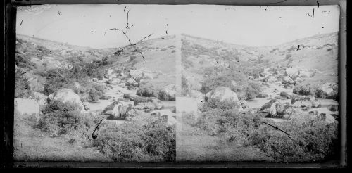 A moorland stream