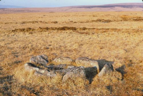 An image from the Dartmoor Trust Archive