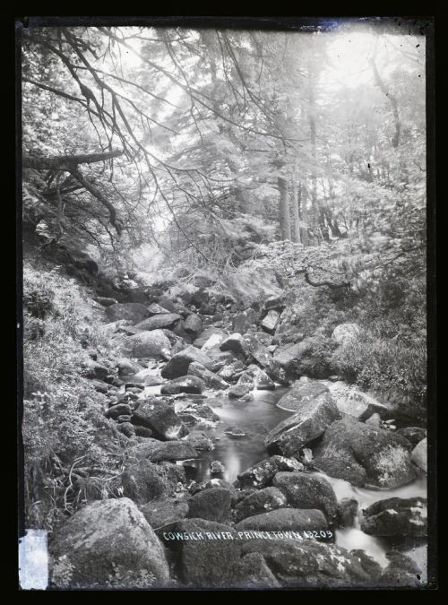 Cowsick River, Lydford