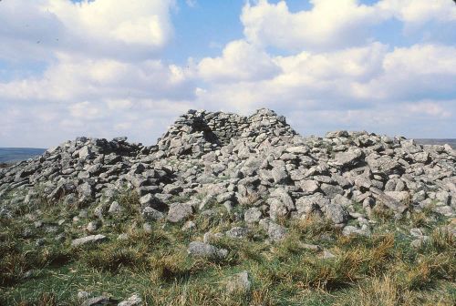 An image from the Dartmoor Trust Archive