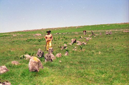 An image from the Dartmoor Trust Archive