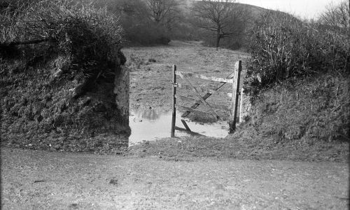 An image from the Dartmoor Trust Archive