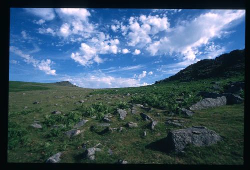 An image from the Dartmoor Trust Archive