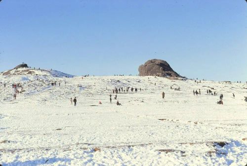 An image from the Dartmoor Trust Archive