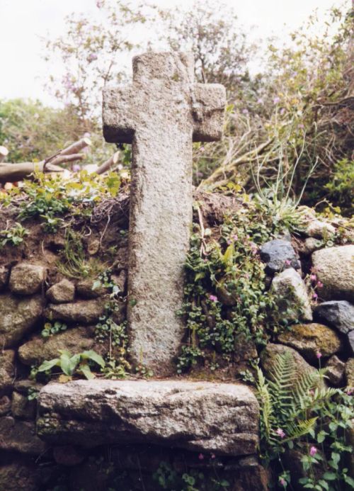 Shaugh Prior Cross