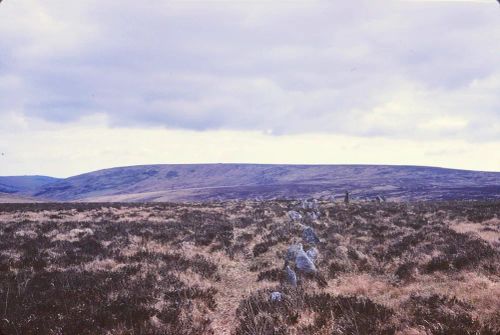 An image from the Dartmoor Trust Archive