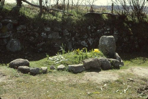 An image from the Dartmoor Trust Archive