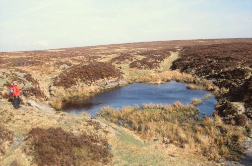 An image from the Dartmoor Trust Archive