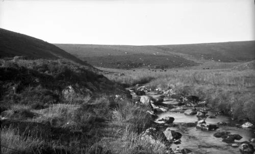 An image from the Dartmoor Trust Archive