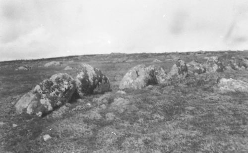 An image from the Dartmoor Trust Archive